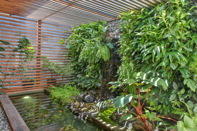 Maison particulière — jardin d'eau intérieur : bassin, cascade et mur végétal sous un brise-soleil en bois